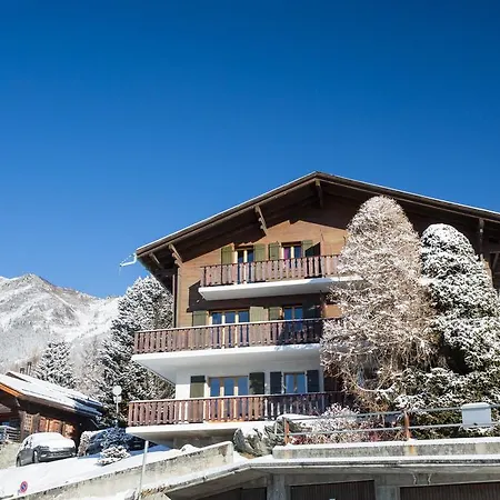 Roxes Apartamento Verbier